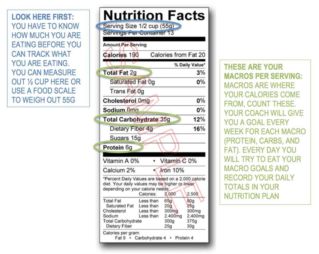 How to Portion Food to Fit Your Macros - Using a Food Scale 